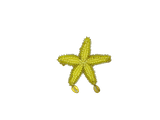 Starfish shells Pin